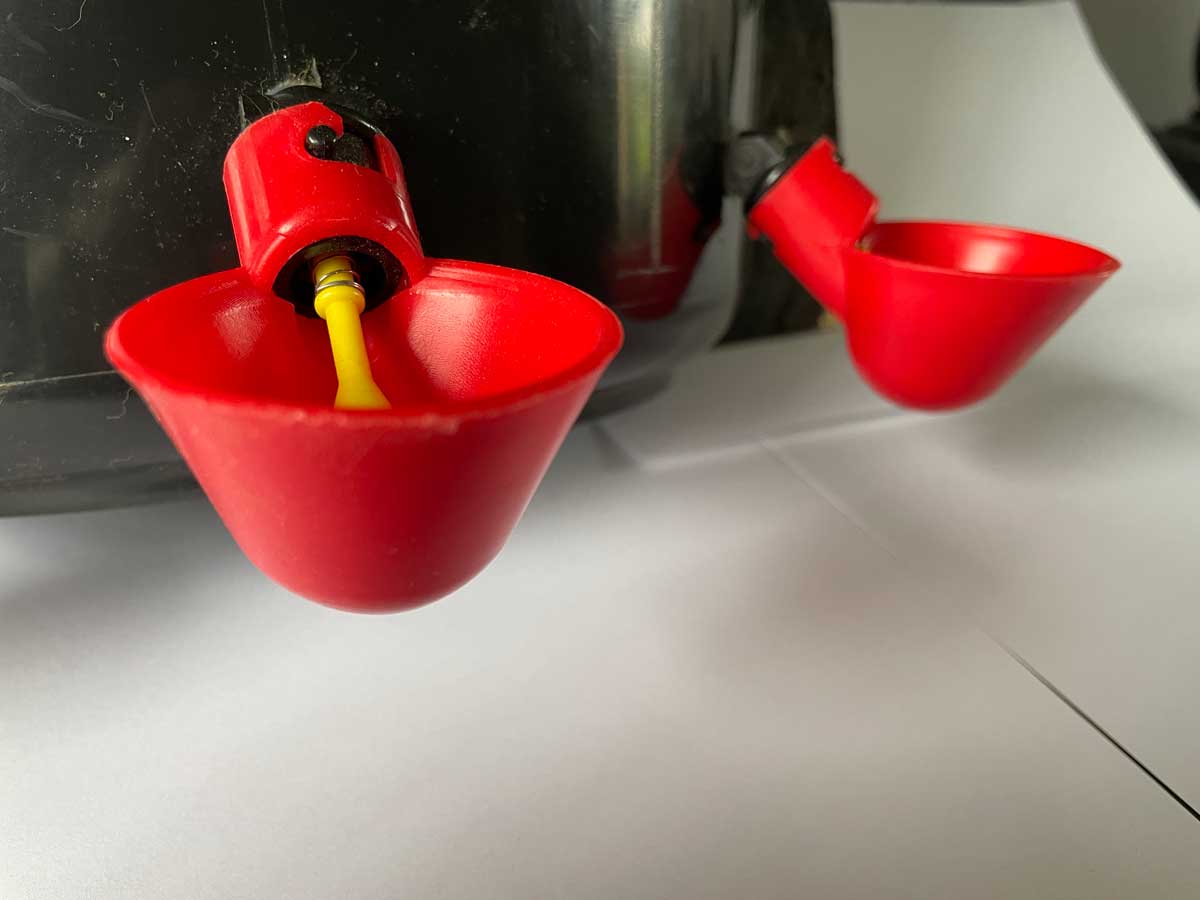 Drinker cups - make your own chicken drinkers (pack of 5)