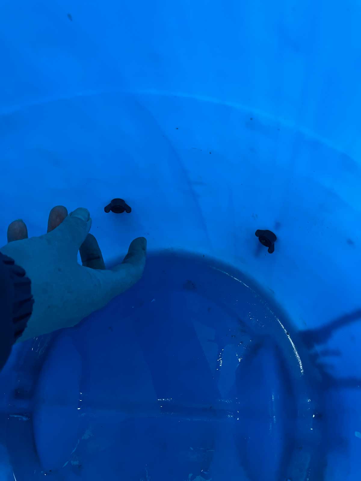 Drinker cups - make your own chicken drinkers (pack of 5)