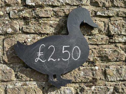 Duck Blackboard