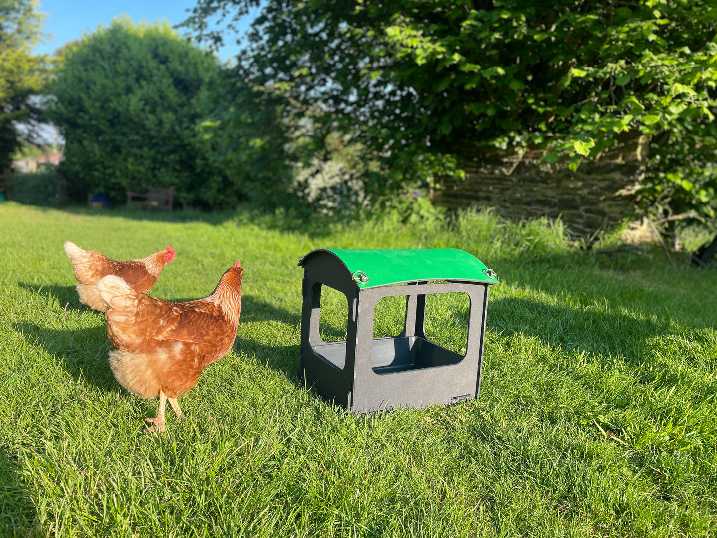 Dust Bath and Chicken Shelter (small)