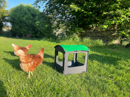 Dust Bath and Chicken Shelter (small)