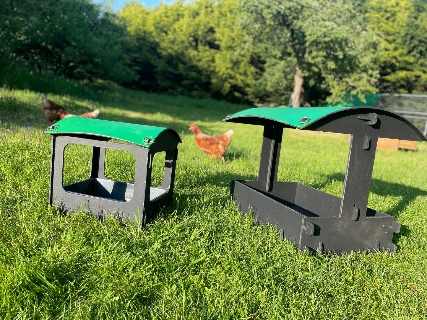 Large Dust Bath - Chicken Shelter