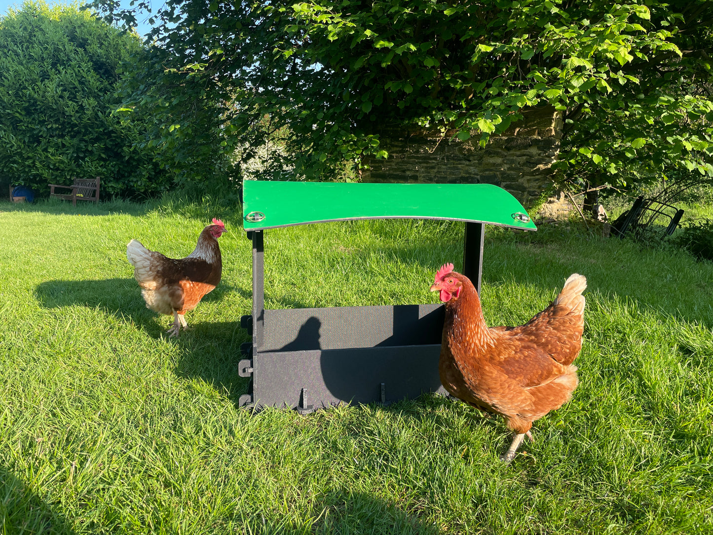 Large Dust Bath - Chicken Shelter
