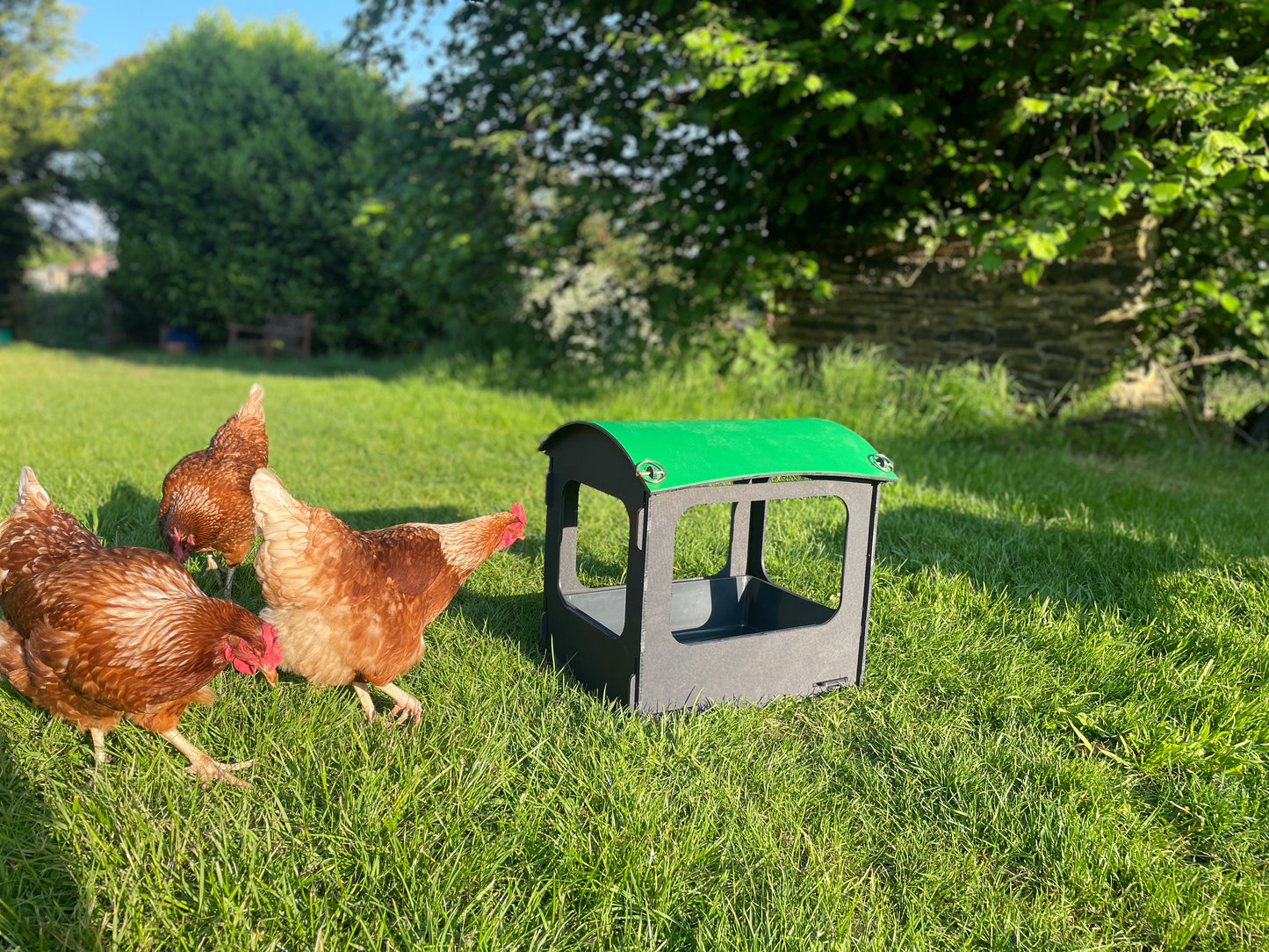 Dust Bath and Chicken Shelter (small)