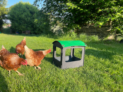 Dust Bath and Chicken Shelter (small)