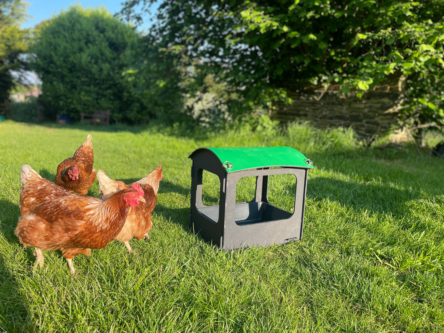 Dust Bath and Chicken Shelter (small)