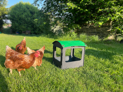 Dust Bath and Chicken Shelter (small)