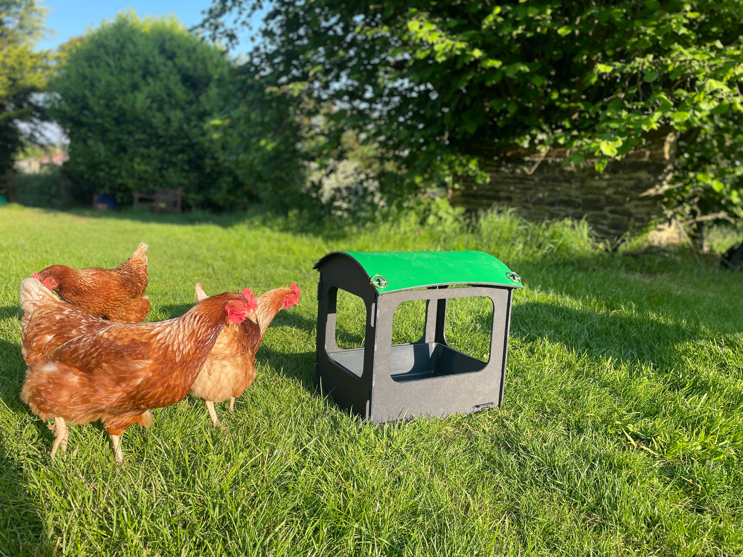 Dust Bath and Chicken Shelter (small)