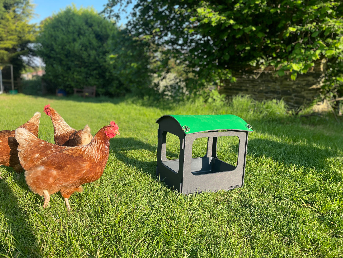 Dust Bath and Chicken Shelter (small)