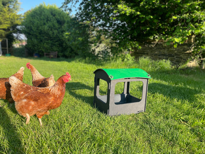Dust Bath and Chicken Shelter (small)