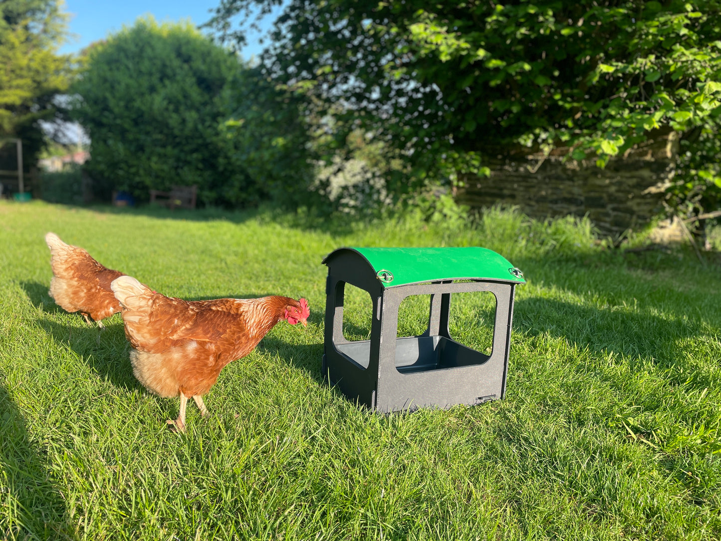 Dust Bath and Chicken Shelter (small)