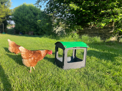 Dust Bath and Chicken Shelter (small)